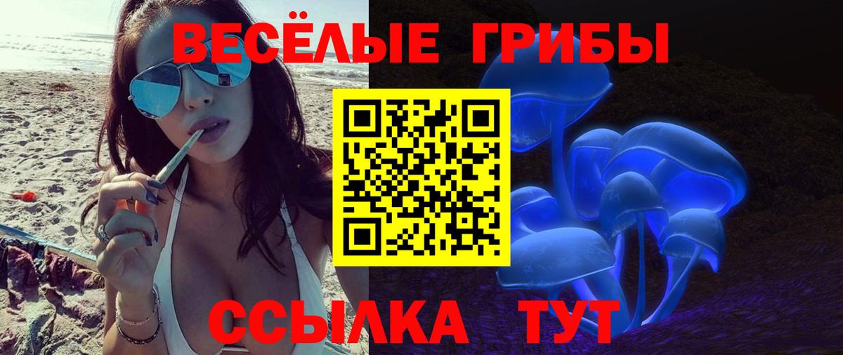 Галлюциногенные грибы ЛСД  продажа наркотиков  Кемерово  Вход с VPN 
